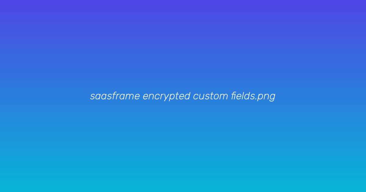 Encrypted custom field toggle